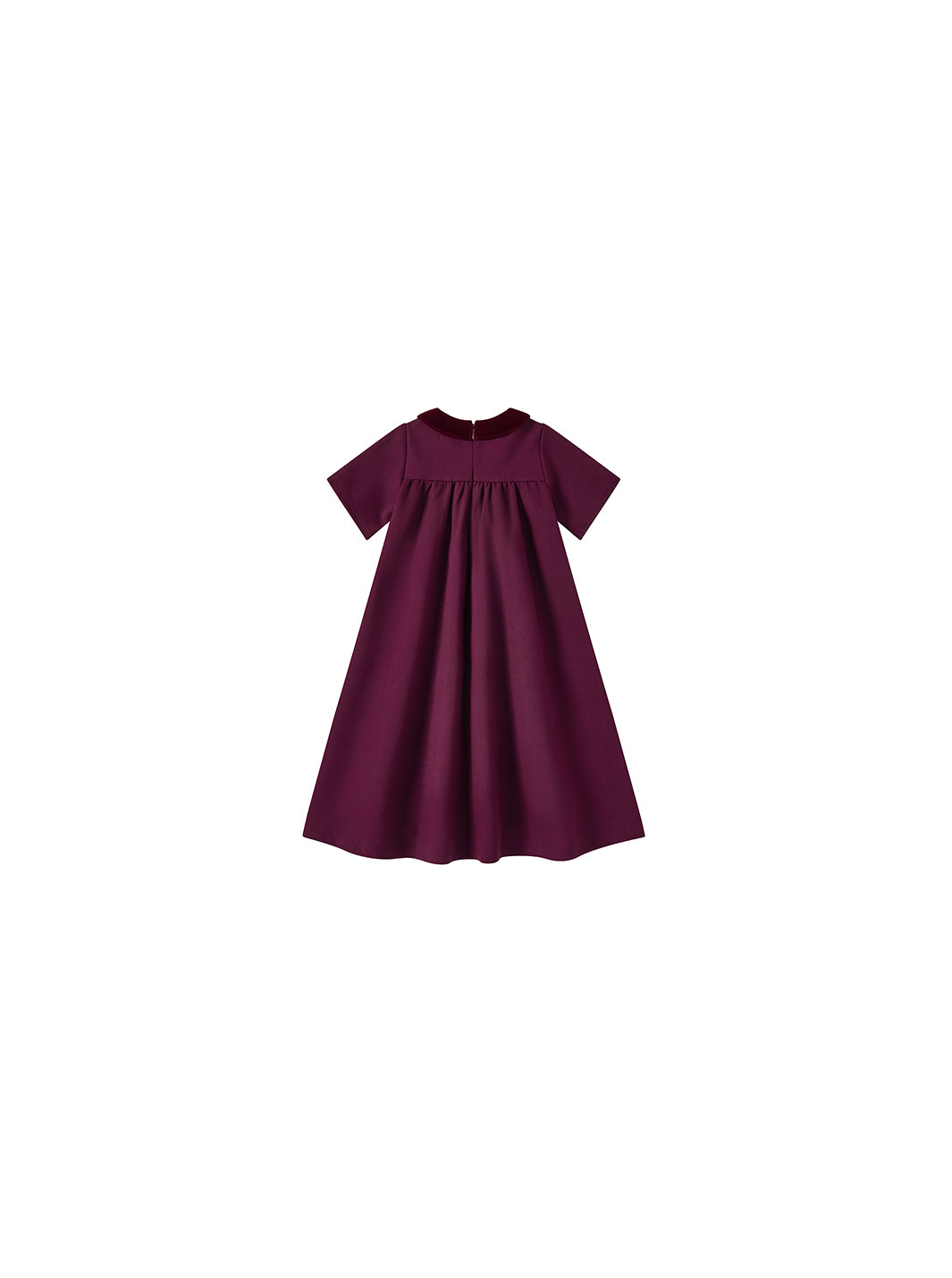 Velvet Collar Dress